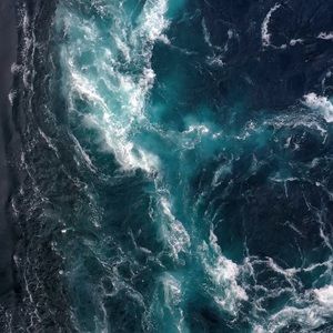 Meet your Posher, Theodore